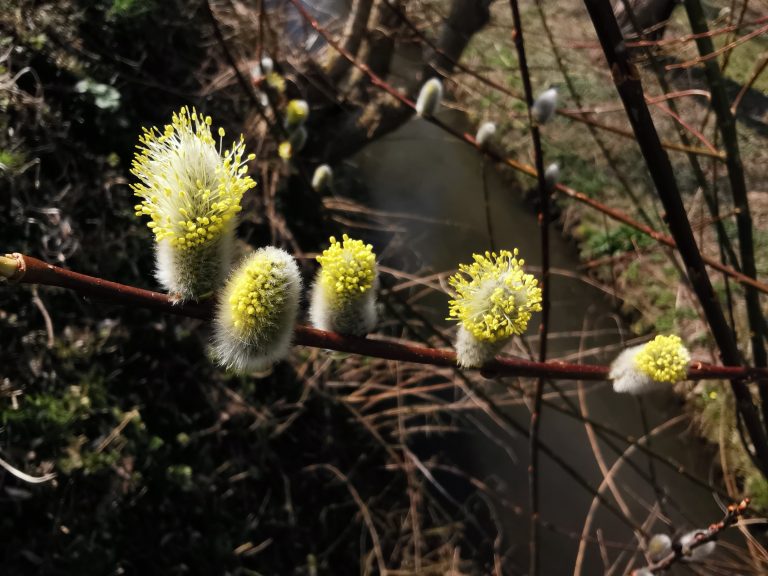Système nerveux et stress : ce que vous devez absolument savoir