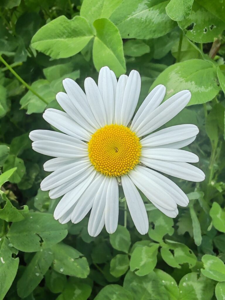 Retrouver confiance en soi après un épuisement