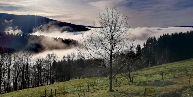 Sens au travail : transformer l&rsquo;incertitude en opportunité