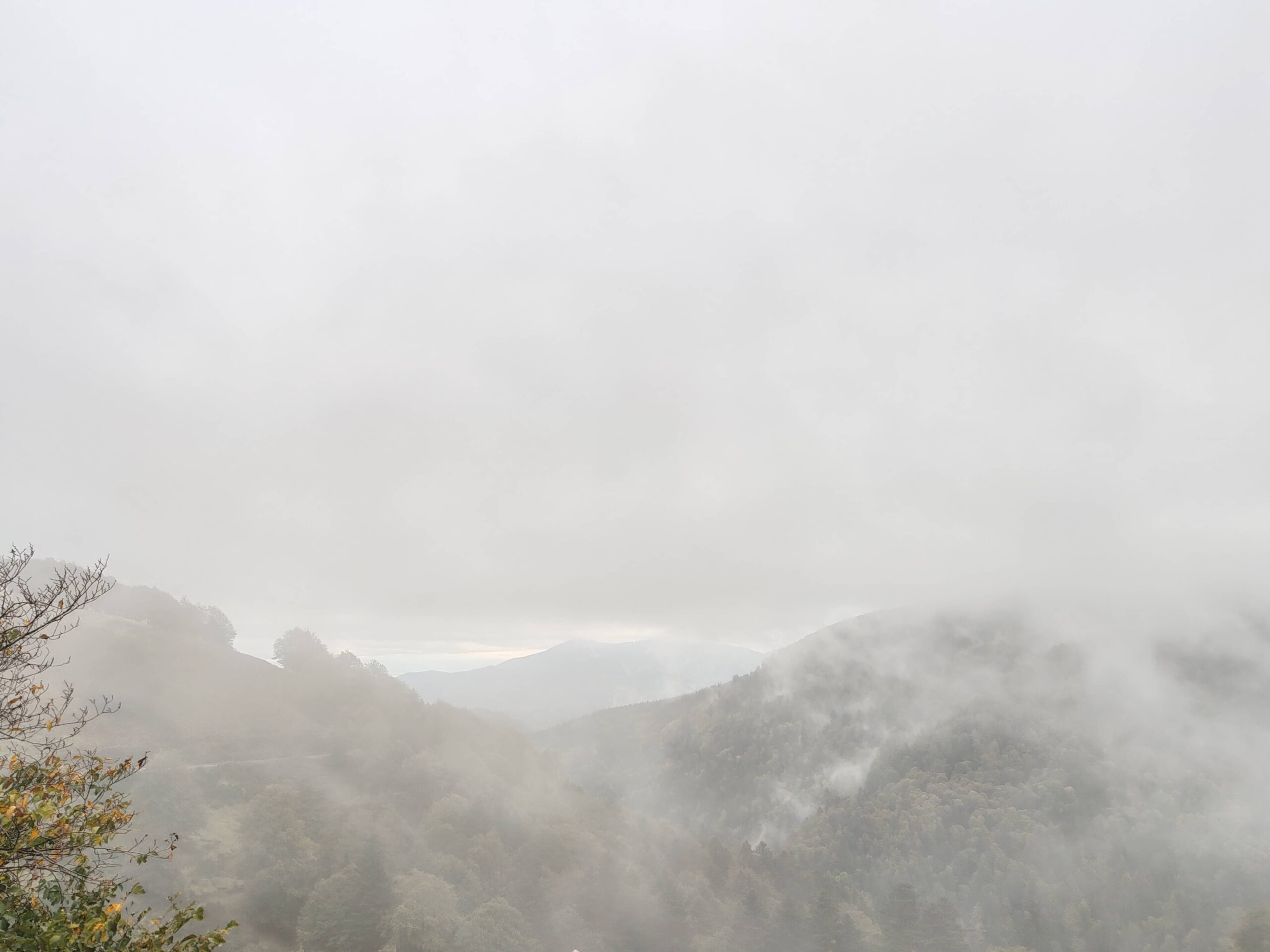 la montagne sous le brouillard